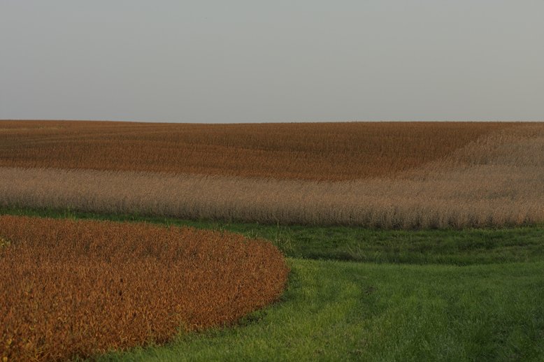 image02.jpg