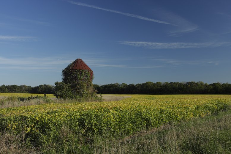 image04.jpg
