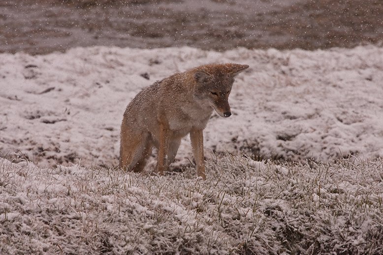 image01.jpg